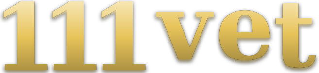 111 vet logo